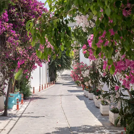 Terra Fos Naxos Studios Aparthotel 4*