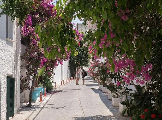 Aparthotel Terra Fos Naxos 4*