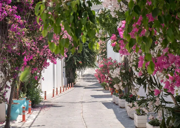 Terra Fos Naxos Aparthotel 4*