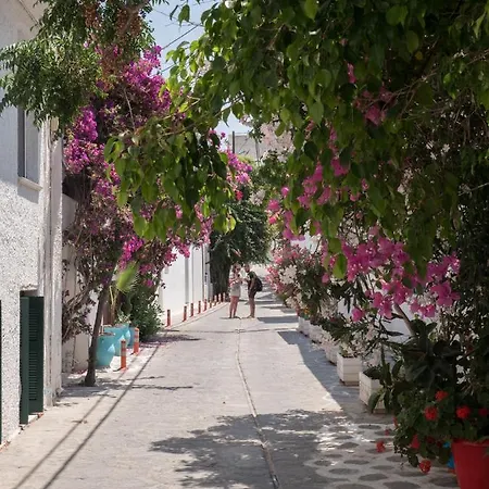 Aparthotel Terra Fos Naxos Studios 4*