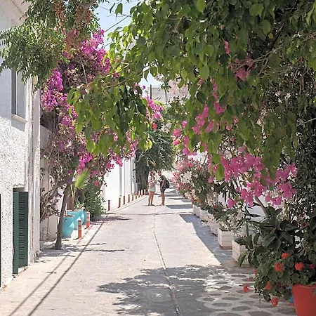 Aparthotel Terra Fos Naxos Naxos City